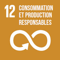 Esg 12 Consommation Et Production Responsables