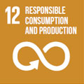 12 Responsible Consumption And Production